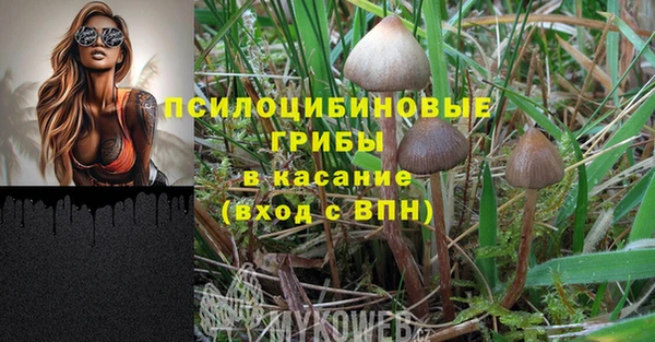 COCAINE Богданович