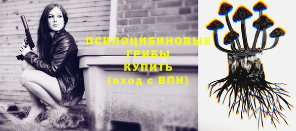 МДПВ Богородицк