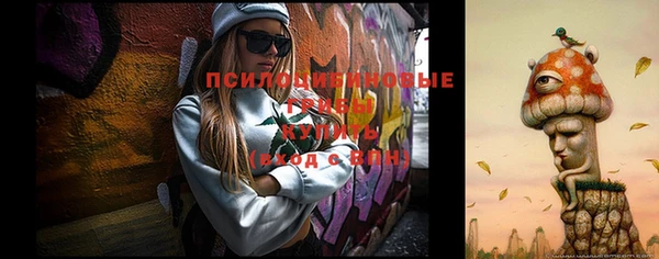 МДПВ Богородицк
