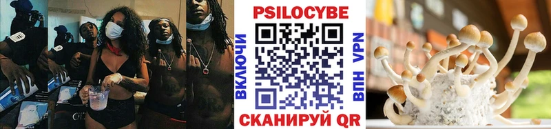 OMG tor  Яранск  Псилоцибиновые грибы MAGIC MUSHROOMS  где купить  